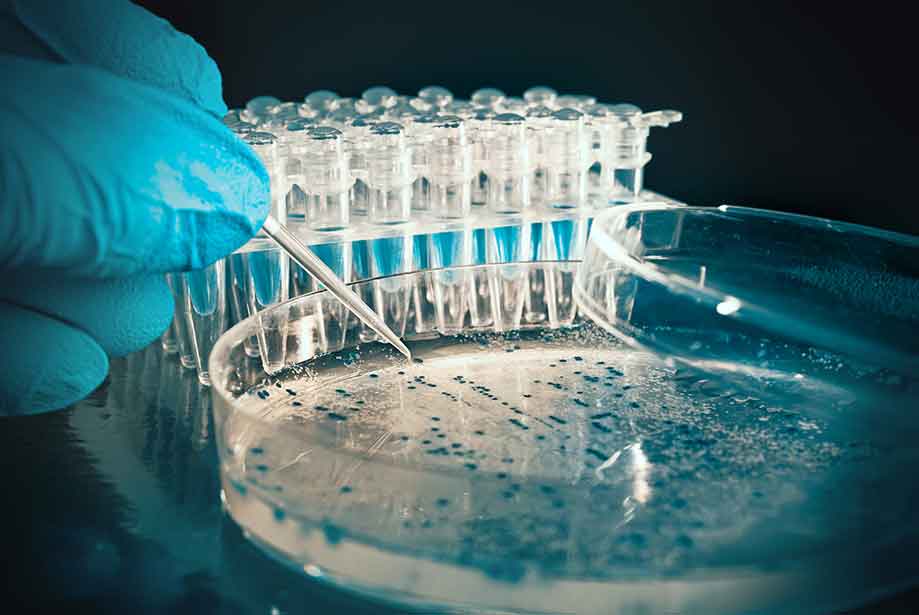 BisulFlash DNA Modification Kit