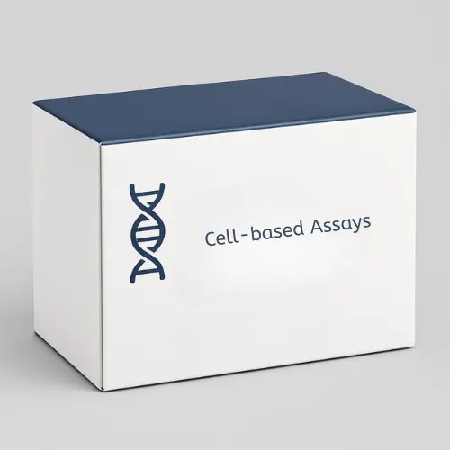 CASP3/CASP7 Apoptosis Kit (Green Fluorescence)