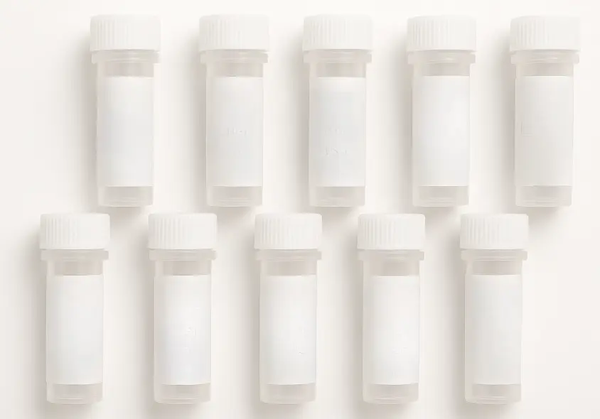 AXL 293T Cell Transient Overexpression Lysate(Denatured)