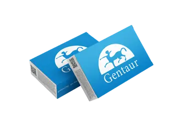 Anti-DYKDDDDK (Flag) MagBeads - 500 μL