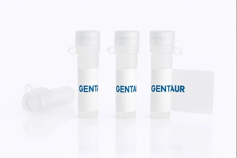 Biotin Conjugated Helix pomatia Lectin (Edible Snail) -HPA- 