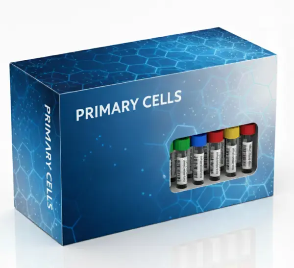 3-Phenoxy 2 hydroxy propyl methacrylate (PHPM)