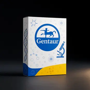 Gentaur Mini PCR Clean Up Kit - 50 prep