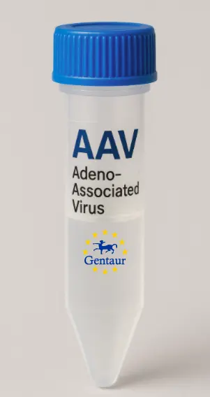 AKAP5 AAV Vector (Mouse) (CMV)