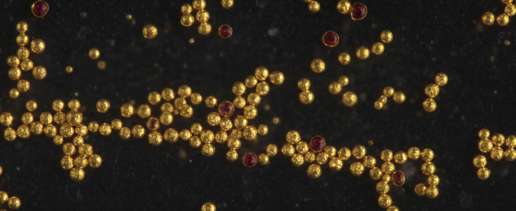 Gold Nanoparticles, 1500 nm-Tannic acid