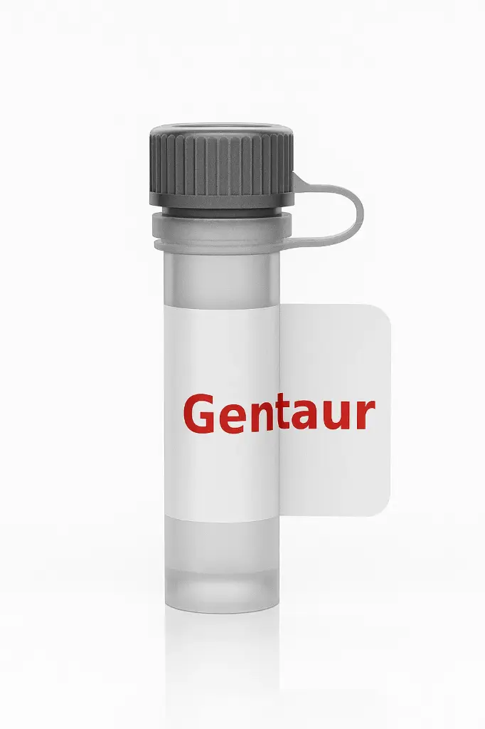 ART4 Protein Rabbit Antibody (Polyclonal)